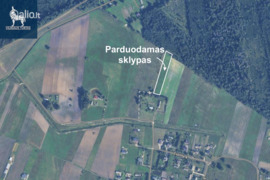 54.0 a sklypas Panevėžio r. sav., Trakiškis