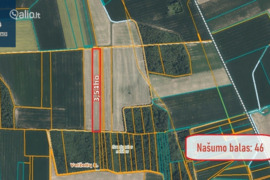 354.0 a sklypas Pasvalio r. sav., Kiemėnai