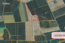 971.0 a sklypas Pasvalio r. sav., Kiemėnai