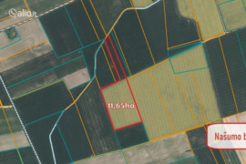 1165.0 a sklypas Pasvalio r. sav., Kiemėnai