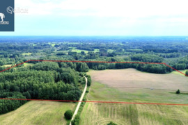 11750.0 a sklypas Molėtų r. sav., Dubingiai