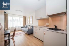 1 kamb. butas Vilnius, Žirmūnai (Žirmūnų sen.), Žirmūnų g.