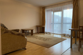 Išnuomojamas erdvus, šviesus 1 kamb. butas  45 kv.m. su dideliais langais