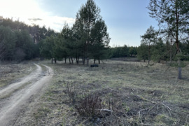 11300 a sklypas Širvintų r. sav., Kernavė, Lielupės g.