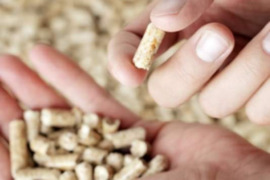 Anglys 375e Durpių briketai 199e Tel