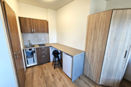 1 kambario buto nuoma Pušų g. Panemunė, Kaunas.