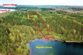 213 a žemės sklypas Lazdijų raj. Pazapsių k., Ragožės g. su ežero pakrante