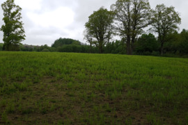 450 a sklypas Klaipėdos r. sav., Šilėnai