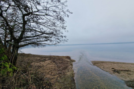 Ant Dusios ežero kranto 67a sklypas Sutrės k. Lazdijų raj.