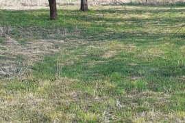 22.3 a sklypas Kaunas, Amaliai, Žiežirbų g.