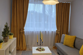 Parduodamas vieno kambario butas Antakalnije