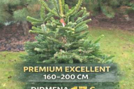 Premium kėnių likutis – super žema kaina!