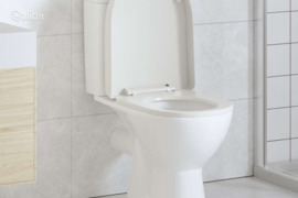 vidaXL Klozeto sėdynė su Soft Close mechanizmu, balta, ovalo formos