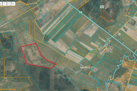 19,0815 ha žemės ūkio paskirties sklypas Rietavo sav.