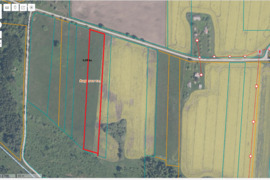 0,98 ha žemės ūkio paskirties žemės sklypas Panevėžio r. Raguvos sen.