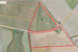 5,31 ha žemės sklypas su senu gyv.namu Radviliškio r.