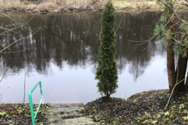 Parduodamas sodas ant upės kranto