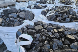 Abglys Kusbaso ir Baltijos žirnis