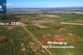 14.0 a sklypas Klaipėdos r. sav., Eglynai