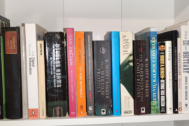 Įvairios naudotos knygos (Lt ir En)