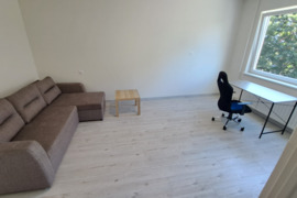 Išnuomojamas 1-o kambario su holu butas pietinėje Klaipėdos dalyje.