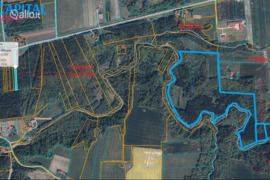 1654.0 a sklypas Kretingos r. sav., Gintarai