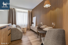 1 kamb. butas Vilnius, Naujamiestis, Geležinio Vilko g.