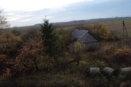 Sodyba Kėdainių r. sav., Antušava