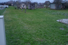 7.29 a sklypas Raseinių r. sav.