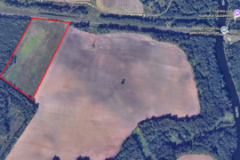 Parduodamas 400 arų žemės ūkio paskirties sklypas Mažeikių apylinkės sen., Pumpurų k.