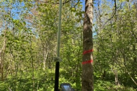 PARDUODAMAS 0,70 ha MIŠKO SKLYPAS UKMERGĖS R., MASIULIUOSE