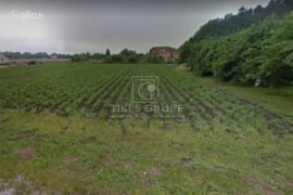 20 a sklypas Klaipėdos r. sav., Lapiai, Žvelsos g.
