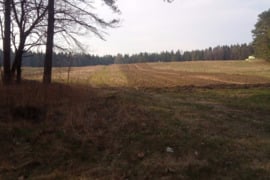 Parduodamas 21.a.sklypas, Šilų km.šalia pušyno ir pagrindinio kelio. tel: 069833702.