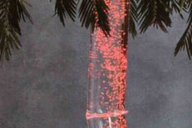 Vandens burbulų palmė, JAV, nauja