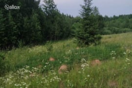 228.58 a sklypas Ignalinos r. sav., Mažėnai