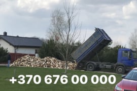 Malkos malkos malkos malkos