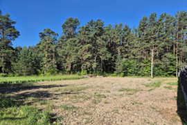 10 a sklypas Mažeikių r. sav., Mažeikiai, Raselės 7-oji g.