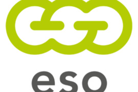ESO elektros tinklu projektavimas, Eso elektros tinklai