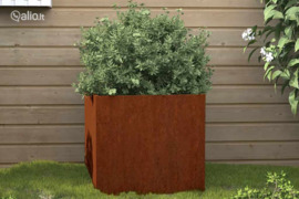 vidaXL Lovelis, 49x47x46cm, Corten plienas