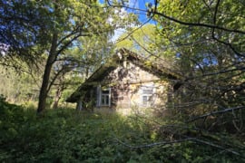 Parduodama sodybvietė  su 7,6421 ha žemės sklypu Gaivenių k., Utenos r.
