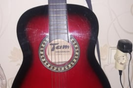 Akustinė gitara Tamsta