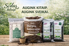 Substratai