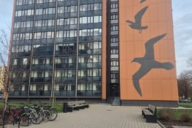 1 kamb. butas Klaipėda, Kauno (Klaipėda), Paryžiaus Komunos g.