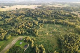 VIENKIEMIS MIŠKO APSUPTYJE, ROKIŠKIO R. SAV. RUKELIŲ K.