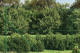 vidaXL Tinklinė tvora su smaigais, žalios spalvos, 1,4x25m