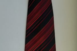 Kaklaraištis 100% Poliesterio Jacquard. Pagaminta UE