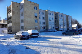 Alytaus r. sav., Daugų m., Ežero g., 2 kambarių butas