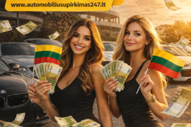 Nepavyksta parduoti automobilio?