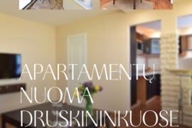  Oksanos apartamentai Druskininkų centre! Su atskiru įėjimu .