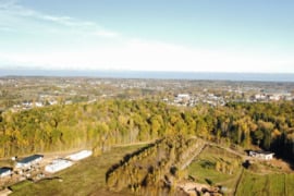 Sklypas ribojasi su mišku ir prie Vilniaus sklypas prie miško